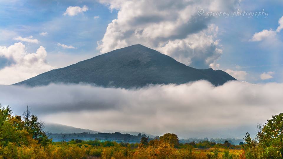 12190085_864117410375870_3897604267948835248_n